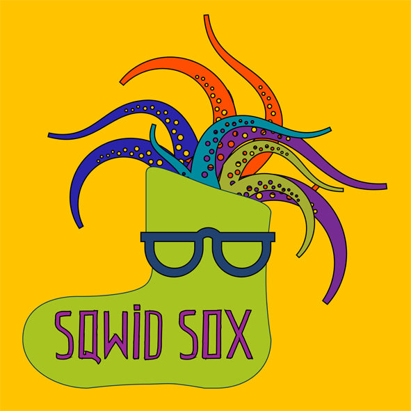 Announcing SQWID Box The Second-SOXS!