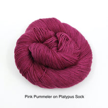 Load image into Gallery viewer, Pink Pummeler (Doctor Horrible) (Dyed to Order)