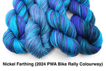 Load image into Gallery viewer, *Pre-Orders* Nickel Farthing (2024 PWA Bike Rally Colourway)