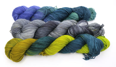 Trees and Rocks and Water -  3 Skein Fade Set (dyed to order)