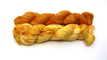 Load image into Gallery viewer, Platypus Buddy Kits (Special Edition Colourways) (Platypus Sock)