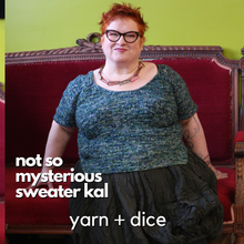 Load image into Gallery viewer, Kits for 2026 Not-So-Mysterious Sweater KAL -- Bumbletee Raglan (Dyed To Order)