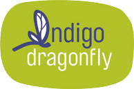 Indigodragonfly