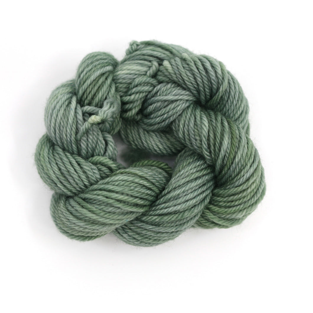 Menthe To Be (Special Edition)(Platypus DK Mini Skein)