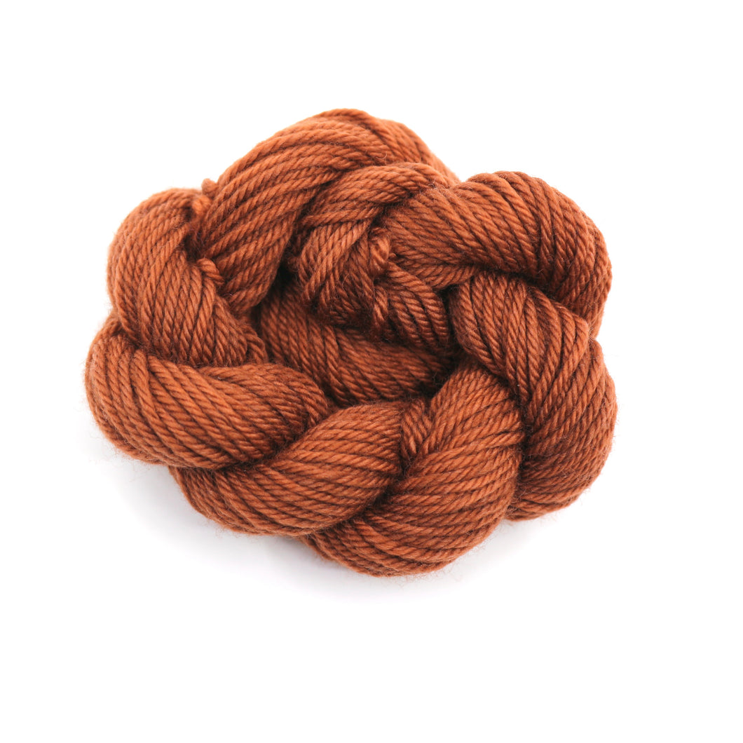 Chasing The Cheetos (Special Edition)(Platypus DK Mini Skein)